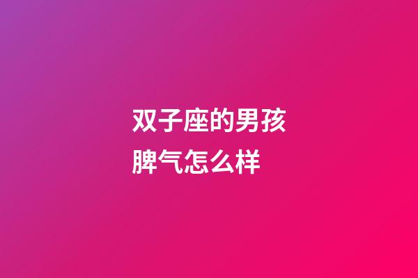 双子座的男孩脾气怎么样-第1张-星座运势-玄机派