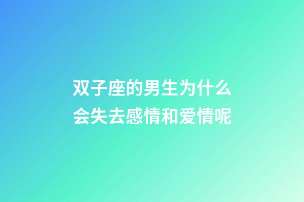 双子座的男生为什么会失去感情和爱情呢-第1张-星座运势-玄机派
