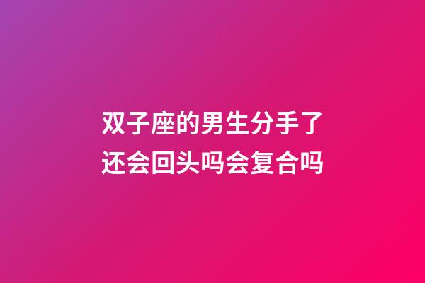 双子座的男生分手了还会回头吗会复合吗-第1张-星座运势-玄机派