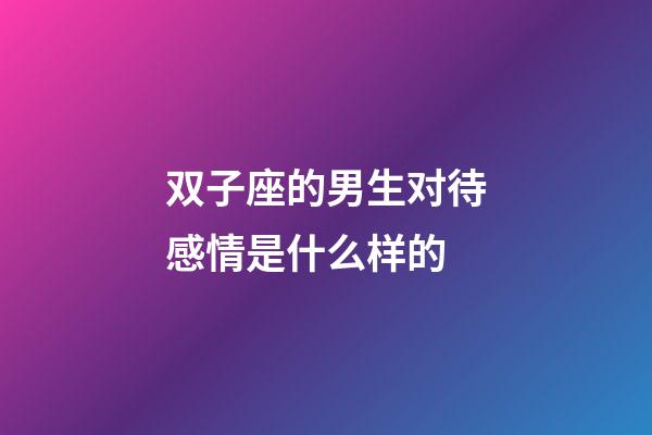 双子座的男生对待感情是什么样的-第1张-星座运势-玄机派