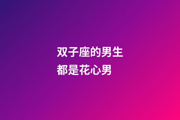 双子座的男生都是花心男-第1张-星座运势-玄机派