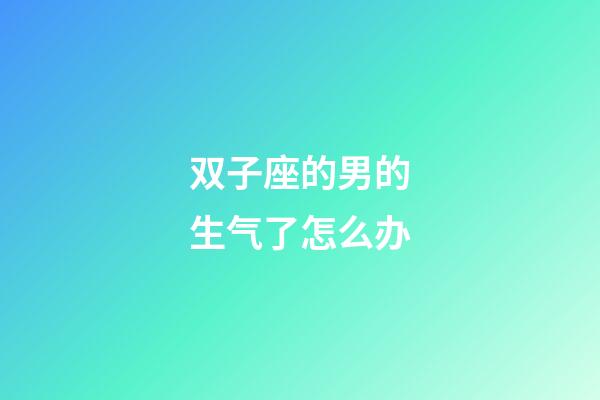 双子座的男的生气了怎么办-第1张-星座运势-玄机派