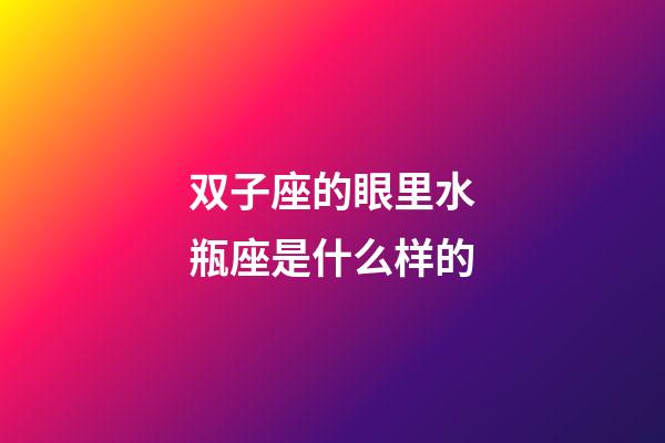 双子座的眼里水瓶座是什么样的-第1张-星座运势-玄机派