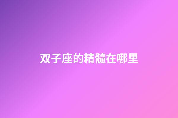 双子座的精髓在哪里-第1张-星座运势-玄机派