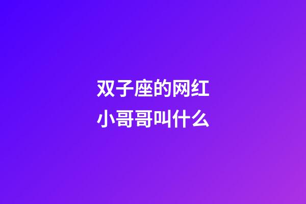 双子座的网红小哥哥叫什么