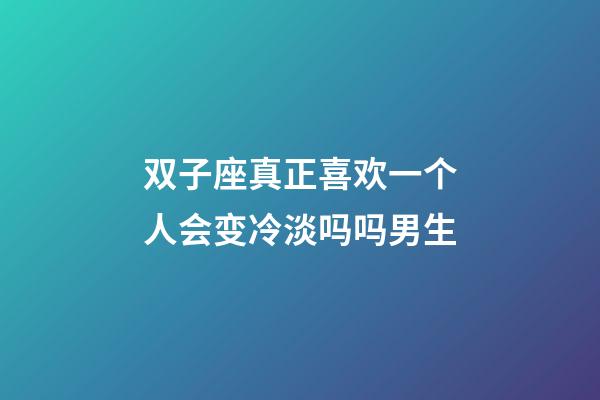 双子座真正喜欢一个人会变冷淡吗吗男生-第1张-星座运势-玄机派