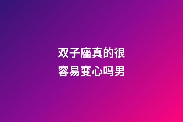 双子座真的很容易变心吗男-第1张-星座运势-玄机派
