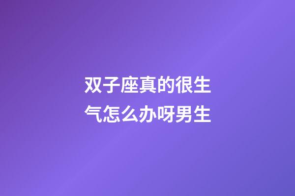 双子座真的很生气怎么办呀男生-第1张-星座运势-玄机派