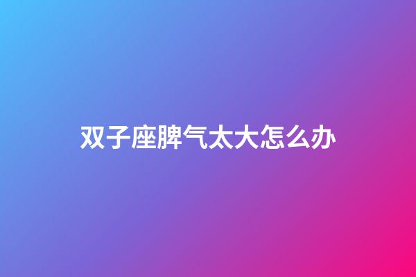 双子座脾气太大怎么办-第1张-星座运势-玄机派