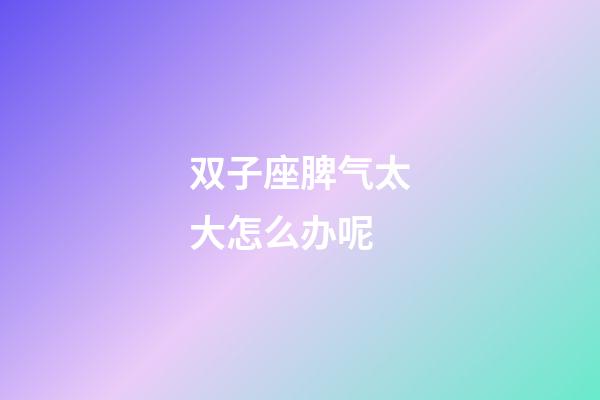 双子座脾气太大怎么办呢-第1张-星座运势-玄机派