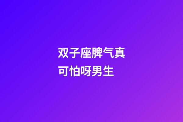 双子座脾气真可怕呀男生-第1张-星座运势-玄机派