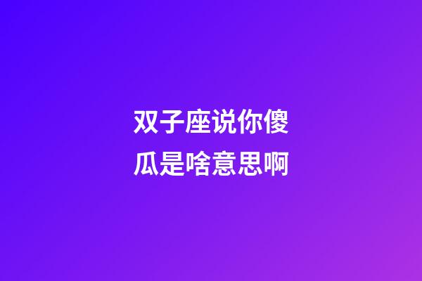 双子座说你傻瓜是啥意思啊