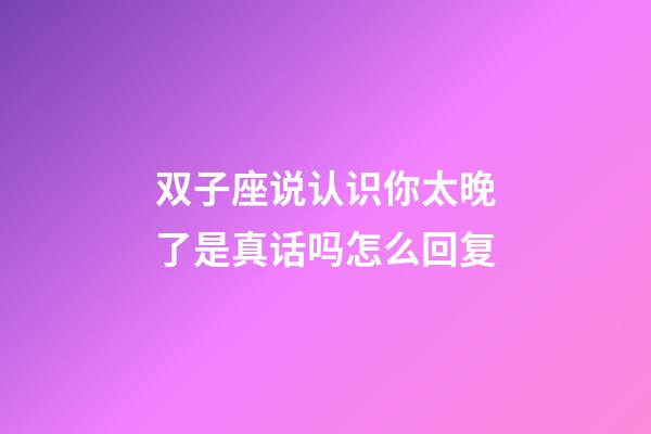 双子座说认识你太晚了是真话吗怎么回复-第1张-星座运势-玄机派