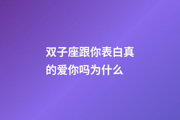 双子座跟你表白真的爱你吗为什么-第1张-星座运势-玄机派