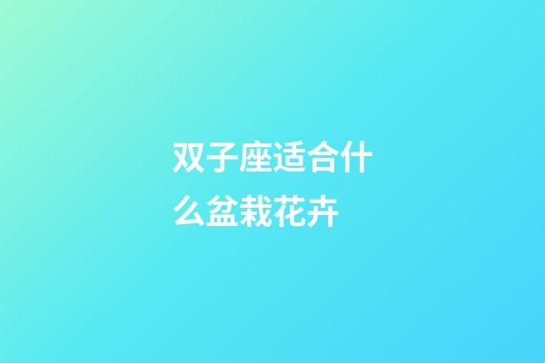 双子座适合什么盆栽花卉