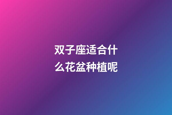 双子座适合什么花盆种植呢