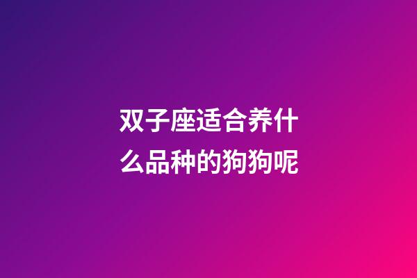 双子座适合养什么品种的狗狗呢