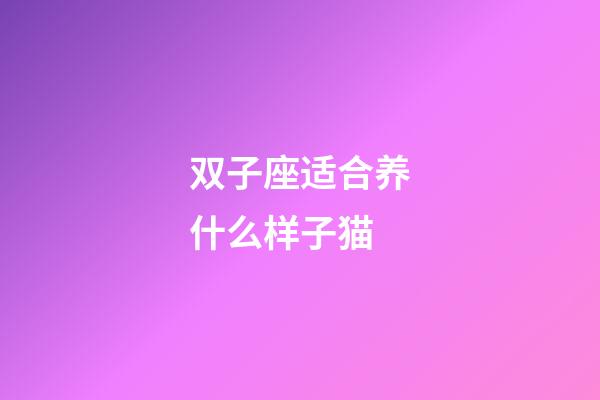 双子座适合养什么样子猫-第1张-星座运势-玄机派