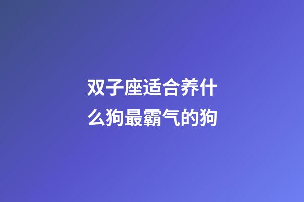 双子座适合养什么狗最霸气的狗-第1张-星座运势-玄机派