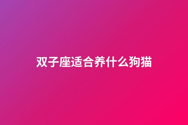 双子座适合养什么狗猫-第1张-星座运势-玄机派