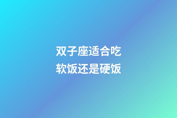 双子座适合吃软饭还是硬饭