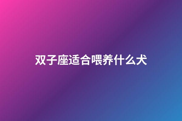 双子座适合喂养什么犬-第1张-星座运势-玄机派