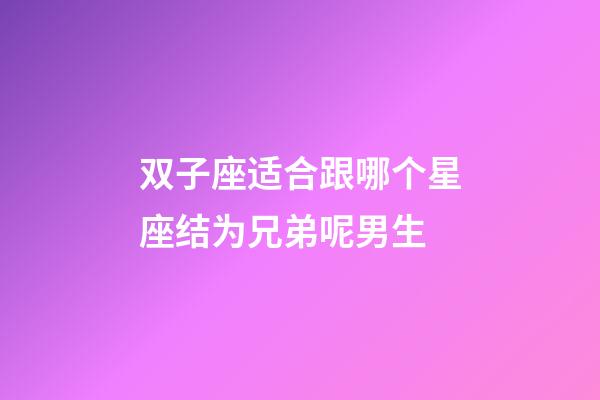 双子座适合跟哪个星座结为兄弟呢男生-第1张-星座运势-玄机派