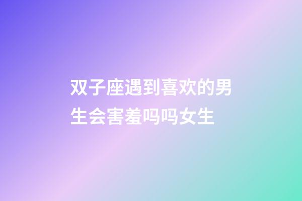 双子座遇到喜欢的男生会害羞吗吗女生-第1张-星座运势-玄机派