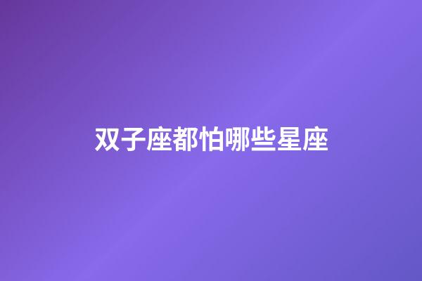 双子座都怕哪些星座-第1张-星座运势-玄机派