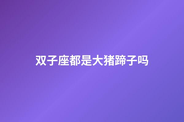 双子座都是大猪蹄子吗-第1张-星座运势-玄机派