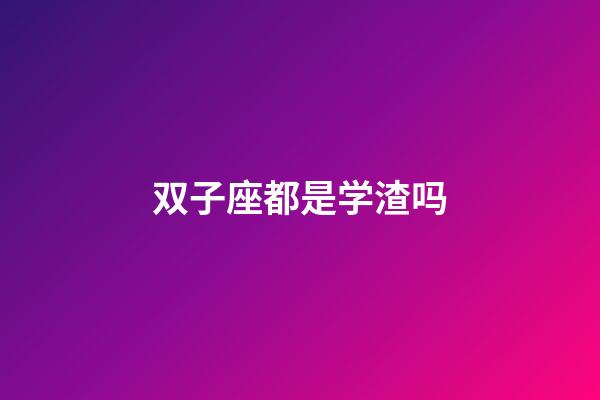 双子座都是学渣吗-第1张-星座运势-玄机派