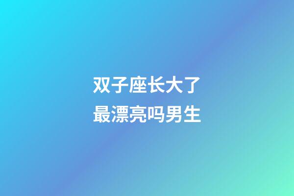 双子座长大了最漂亮吗男生-第1张-星座运势-玄机派