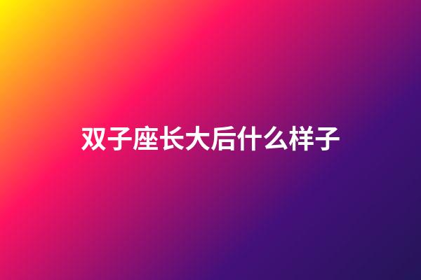 双子座长大后什么样子-第1张-星座运势-玄机派