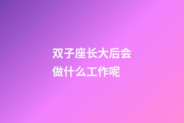 双子座长大后会做什么工作呢-第1张-星座运势-玄机派