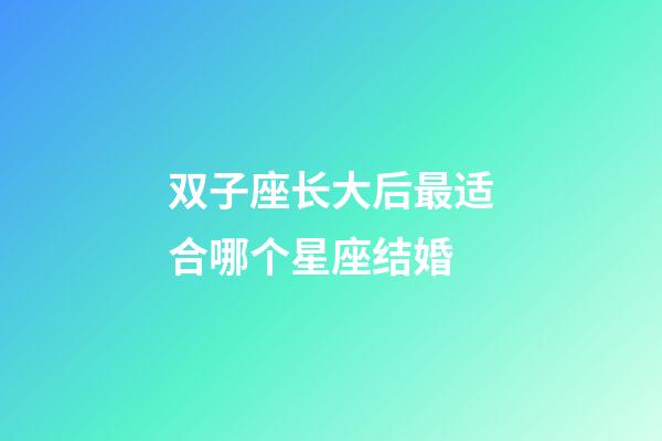 双子座长大后最适合哪个星座结婚-第1张-星座运势-玄机派