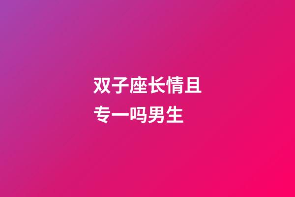 双子座长情且专一吗男生-第1张-星座运势-玄机派