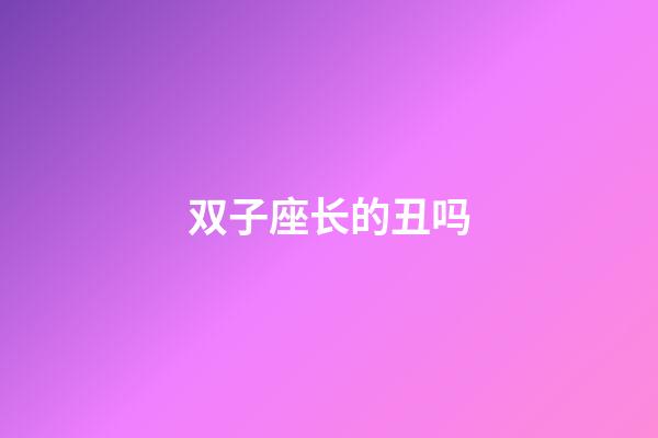 双子座长的丑吗-第1张-星座运势-玄机派