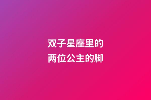 双子星座里的两位公主的脚