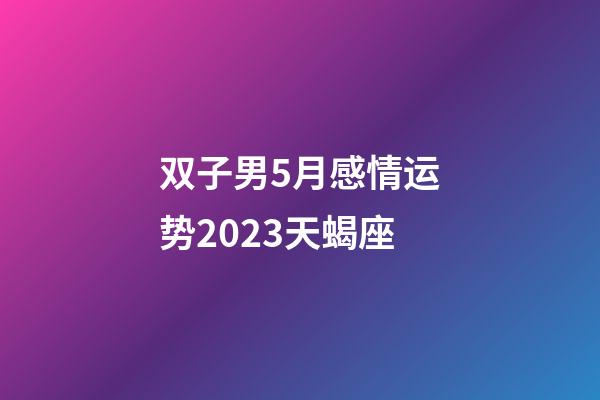 双子男5月感情运势2023天蝎座-第1张-星座运势-玄机派