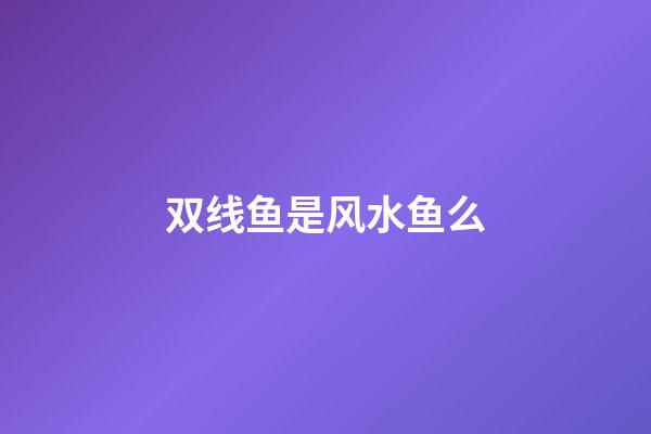 双线鱼是风水鱼么