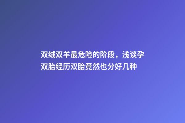 双绒双羊最危险的阶段，浅谈孕双胎经历双胎竟然也分好几种-第1张-观点-玄机派