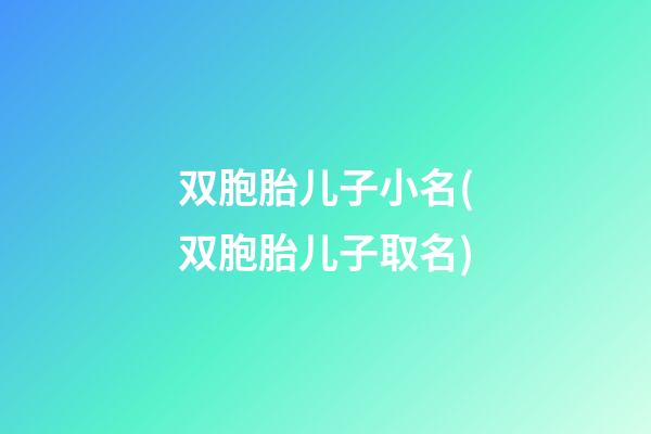 双胞胎儿子小名(双胞胎儿子取名)