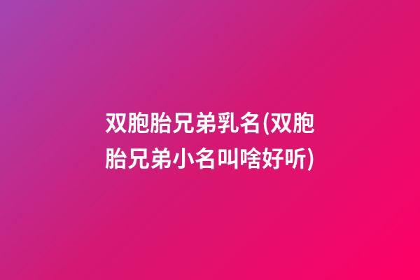 双胞胎兄弟乳名(双胞胎兄弟小名叫啥好听)