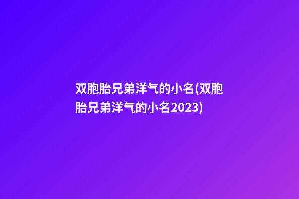 双胞胎兄弟洋气的小名(双胞胎兄弟洋气的小名2023)