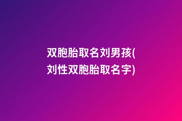 双胞胎取名刘男孩(刘性双胞胎取名字)