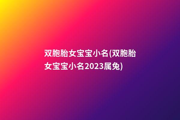 双胞胎女宝宝小名(双胞胎女宝宝小名2023属兔)