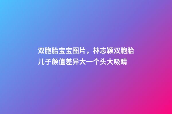 双胞胎宝宝图片，林志颖双胞胎儿子颜值差异大一个头大吸睛-第1张-观点-玄机派