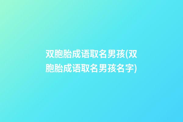 双胞胎成语取名男孩(双胞胎成语取名男孩名字)