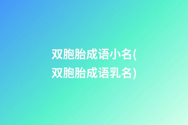 双胞胎成语小名(双胞胎成语乳名)
