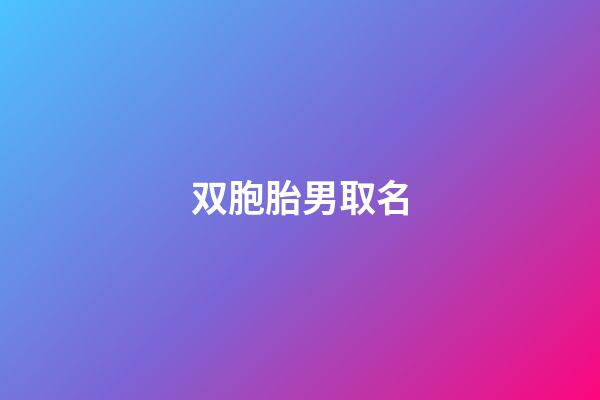 双胞胎男取名(双胞胎男取名一个字可以吗)-第1张-男孩起名-玄机派